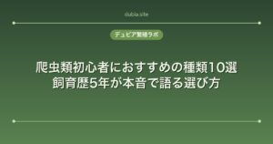 爬虫類初心者におすすめの種類10選｜飼育歴5年が本音で語る選び方