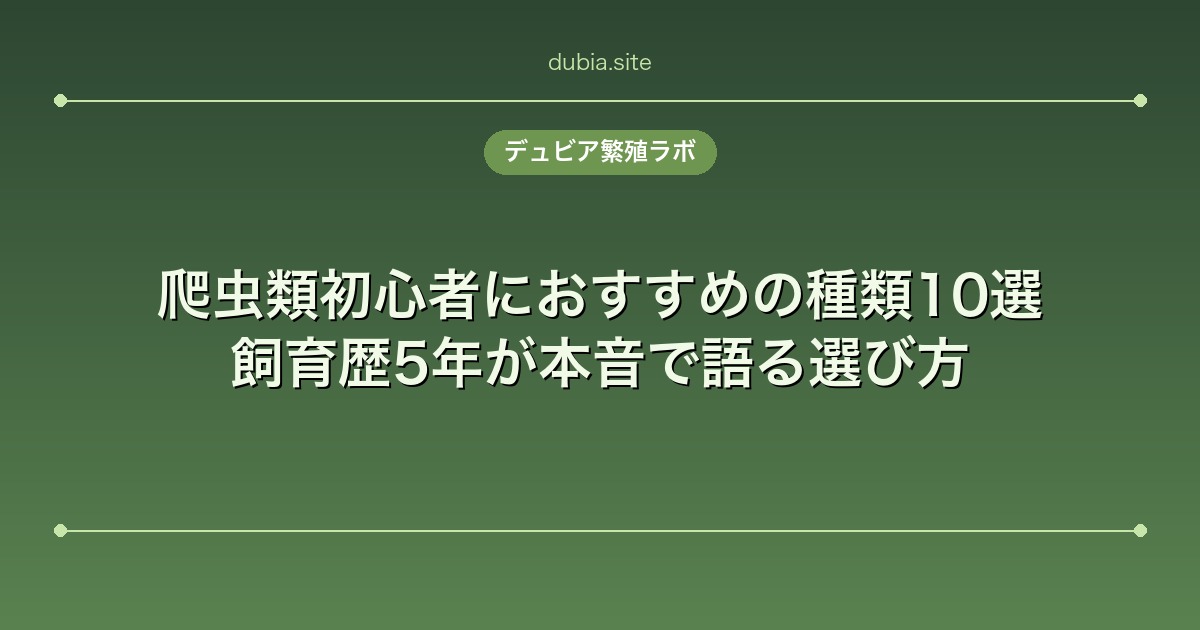 爬虫類初心者におすすめの種類10選｜飼育歴5年が本音で語る選び方
