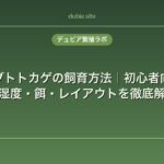 アカメカブトトカゲの飼育方法｜初心者向けに温度・湿度・餌・レイアウトを徹底解説