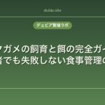リクガメの飼育と餌の完全ガイド｜初心者でも失敗しない食事管理のコツ