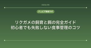 リクガメの飼育と餌の完全ガイド｜初心者でも失敗しない食事管理のコツ