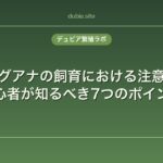 イグアナの飼育における注意点｜初心者が知るべき7つのポイント