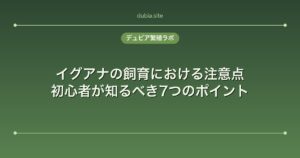 イグアナの飼育における注意点｜初心者が知るべき7つのポイント