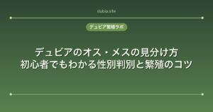 デュビアのオス・メスの見分け方｜初心者でもわかる性別判別と繁殖のコツ