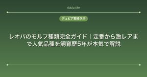 レオパのモルフ種類完全ガイド｜定番から激レアまで人気品種を飼育歴5年が本気で解説