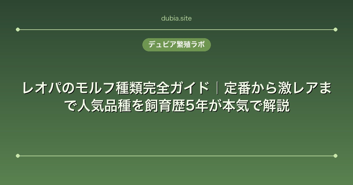 レオパのモルフ種類完全ガイド｜定番から激レアまで人気品種を飼育歴5年が本気で解説