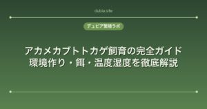 アカメカブトトカゲ飼育の完全ガイド｜環境作り・餌・温度湿度を徹底解説