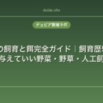 リクガメの飼育と餌完全ガイド｜飼育歴5年が教える与えていい野菜・野草・人工飼料