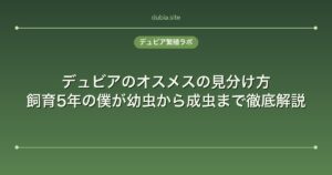 デュビアのオスメスの見分け方｜飼育5年の僕が幼虫から成虫まで徹底解説