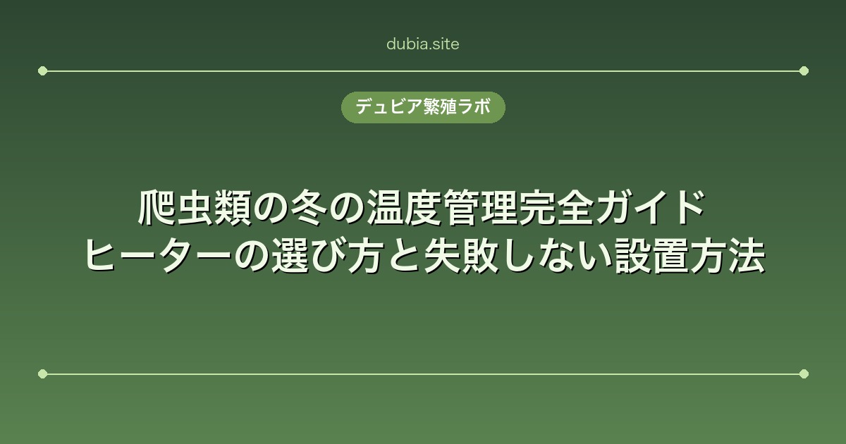 爬虫類の冬の温度管理完全ガイド|ヒーターの選び方と失敗しない設置方法