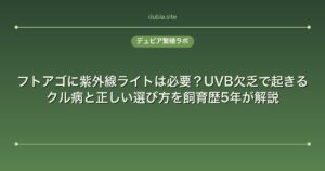 フトアゴに紫外線ライトは必要？UVB欠乏で起きるクル病と正しい選び方を飼育歴5年が解説