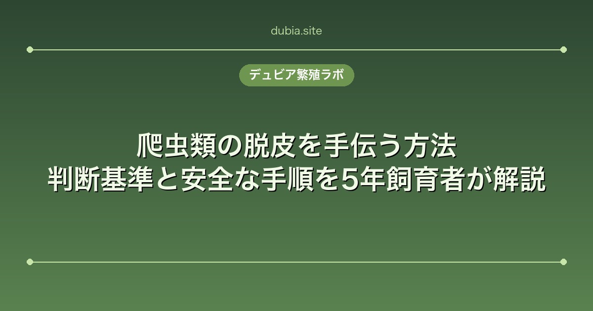 爬虫類の脱皮を手伝う方法｜判断基準と安全な手順を5年飼育者が解説