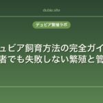 デュビア飼育方法の完全ガイド｜初心者でも失敗しない繁殖と管理術