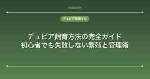 デュビア飼育方法の完全ガイド｜初心者でも失敗しない繁殖と管理術