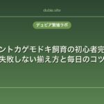ヒョウモントカゲモドキ飼育の初心者完全ガイド｜失敗しない揃え方と毎日のコツ