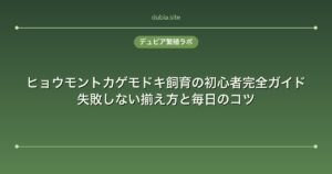 ヒョウモントカゲモドキ飼育の初心者完全ガイド｜失敗しない揃え方と毎日のコツ