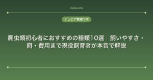 爬虫類初心者におすすめの種類10選｜飼いやすさ・餌・費用まで現役飼育者が本音で解説
