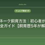 コーンスネーク飼育方法｜初心者が失敗しない完全ガイド【飼育歴5年が解説】