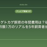 フトアゴヒゲトカゲ飼育の年間費用は？初期費用15万・月額1万のリアルを5年飼育者が公開